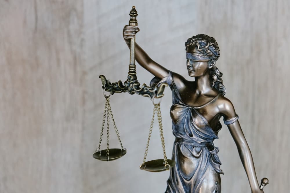 Legal document review — refusal recovery services
