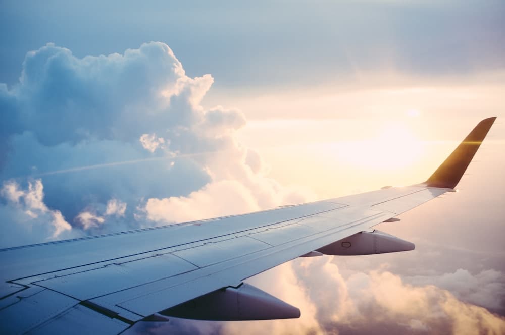 Air travel — tourist and visitor visa services
